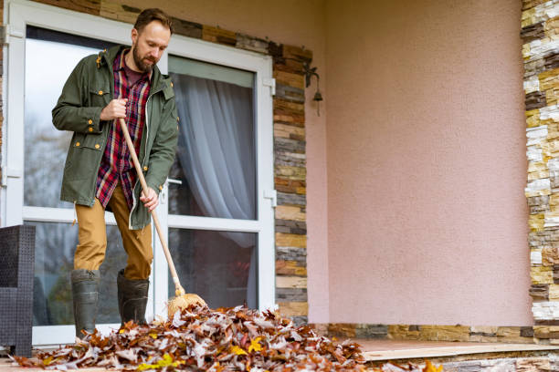 Best Electronics Removal Services  in Evans, CO
